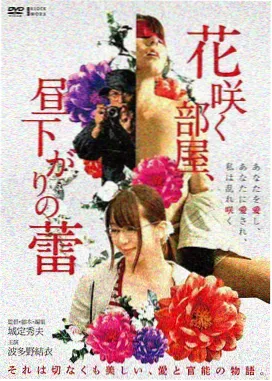 电影专区分类封面